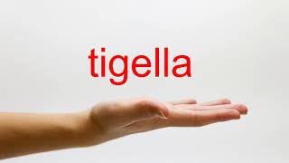 How to Pronounce tigella  American English [upl. by Mezoff]