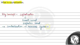 What is cephalization [upl. by Hare645]