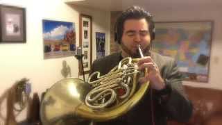 Iggy Azalea  FANCY French Horn Cover [upl. by Burrus636]