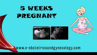 5 Weeks Pregnant  Pregnancy Symptoms Development Cramping Ultrasound Twins and Baby [upl. by Kurr]