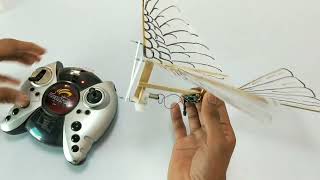 make a flying bird at home  rcornithopter ornithopter [upl. by Vail]