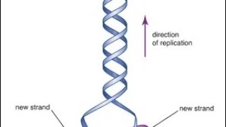 Rosalind Franklin biography in English born July 25 1920 Londonbiographyphysicschemistry [upl. by Ettelimay]