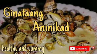 How to cook ginataang aninikadplicate conchlutoniLaviel09healthy and nutritious seashell [upl. by Marketa]