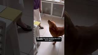 Maa Xiapeng Ne Meat Chori Kar Li shorts funny [upl. by Ecydnarb]