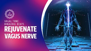 Rejuvenate Vagus Nerve for Serenity and Bliss  Vagal Tone Binaural Beats Meditation Music [upl. by Leahcim459]