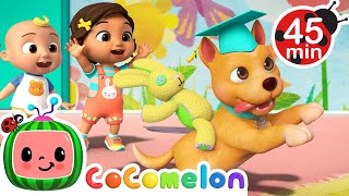 Best of BINGO  Doggie Daycare amp Puppy Play 🐶  MORE CoComelon Nursery Rhymes amp Songs [upl. by Lipcombe]