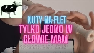 tylko jedno w głowie mam  nuty na flet  Cypis  Gdzie jest biały węgorz [upl. by Oran]