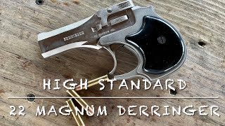 High Standard 22 magnum 2 barrel derringer at the range [upl. by Eadwina]