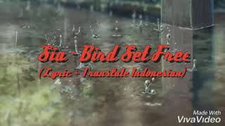 Sia  Bird Set Free LyricTranslate Indonesian [upl. by Thoma]