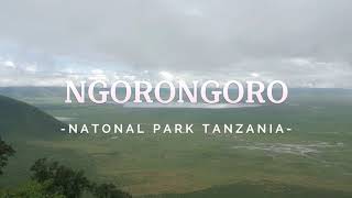 Ngorongoro National Park Tanzania [upl. by Nevyar]