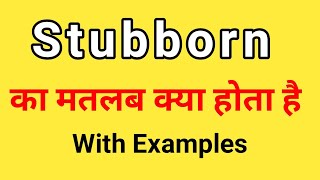 Stubborn Meaning in Hindi  Stubborn ka Matlab kya hota hai Hindi mai [upl. by Dewie]