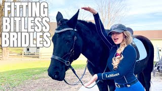 Understanding Bitless BridlesConnect With Your Horse On Another Level [upl. by Asiole921]