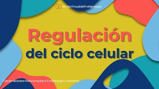 Regulación del ciclo celular [upl. by Teleya803]