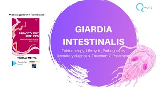 Giardia intestinalis  Parasitology simplified tutorials  For USMLE and NEXT NEETPG USMLE PLAB [upl. by Velick]