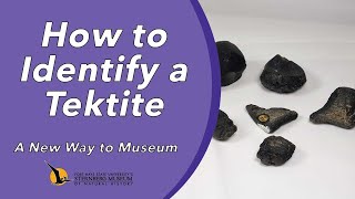 How to Identify a Tektite  A New Way to Museum [upl. by Rinee815]