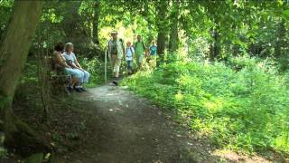 Premiumwanderweg Sagenhaftes Schächerbachtal in Homberg Ohm [upl. by Cavuoto]