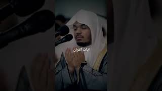 دعاء مع الشيخ ياسر الدوسري  Dua with Shaikh Yasir Al dosri for Palestine ❤️🫀 [upl. by Eyahc427]