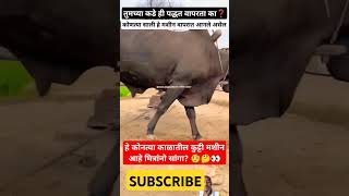 🧐कोणत्या काळातील कुट्टी मशीन आहे मित्रांनो🤔👀😯farmingshortvideosviralshortsRoyalशेतकरीशेतकरीbran [upl. by Gilman]