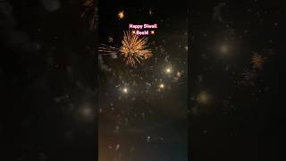 Happy Diwali BooM 💥💥💥💥💥💥 ytshorts viralshort diwali2024 [upl. by Lancaster321]