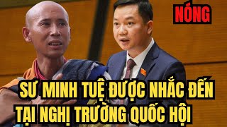 Nóng Sư Minh Tuệ được nhắc đến tại Nghị trường Quốc hội [upl. by Lolande79]