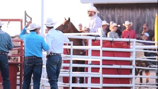 Cowboy faces tough challenge of subduing steer in stunning rodeo performance  WooGlobe [upl. by Gonta]