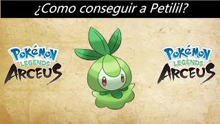 Como conseguir a Petilil en Pokemon Leyendas Arceus [upl. by Anahpets]