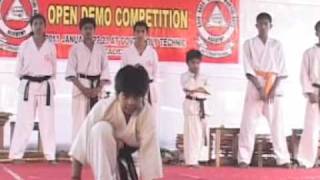 chinese kenpo karate demo [upl. by Lledyl]