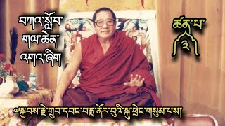 ༧སྐྱབས་རྗེ་པད་ནོར་རིན་པོ་ཆེའི་བཀའ་སློབ།  Precious teaching or Advice by HH Dubwang Penor Rinpoche [upl. by Eittod]