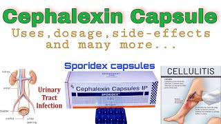 Cephalexin capsule usedosesideeffects  Sporidex Capsules  Cephalexin antibacterial  drx rohit [upl. by Sabu]