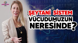 Şeytani Sistem Vücudumuzun Neresinde [upl. by Killie]