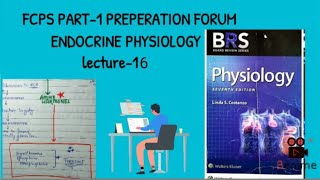 mineralocorticoid secreations and function  BRS PHYSIOLOGY LECTURE [upl. by Faunie527]