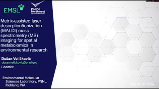 MALDI Mass Spectrometry Imaging for Spatial Metabolomics  Integrated Chemical Imaging Workshop [upl. by Adav]