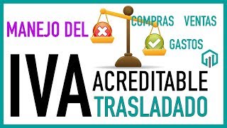 IVA Acreditable e IVA Trasladado 💲💲 Manejo del IVA en compras y gastos  Contabilidad Básica [upl. by Nnaycart864]