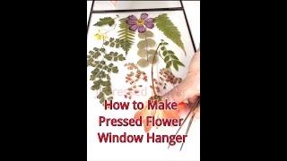 How to Make Pressed Flower Window Hanger [upl. by Morice]