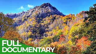 Great Smoky Mountains  A Fairytale World from Once Upon A Time  Free Documentary Nature [upl. by Aneeles37]