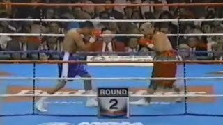 WOW WHAT A KNOCKOUT  Oscar De La Hoya vs Jorge Paez Full HD Highlights [upl. by Skell260]