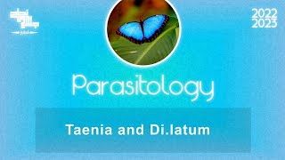 L 3 part 1 Taenia saginata amp Diphyllobothrium latum Parasitology [upl. by Saihttam653]