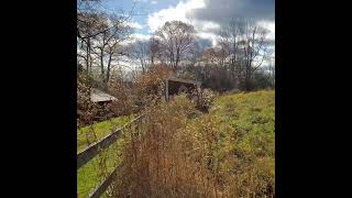 Fall in New Hampshire briefly [upl. by Marelya]