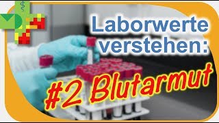 Laborwerte verstehen 2 Blutarmut differenzieren [upl. by Pandich]