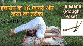 Halasana  Halasana ka fayde  halasana kaise karte hain  halasana for beginners by Shankh Yoga [upl. by Noivert]