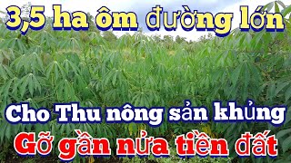 3 5 ha ôm mặt đường lớn cho thu nông sản gần được nửa tiền đất có đủ nhà chuồng trại quá đẹp [upl. by Aiuhsoj]