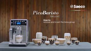 Saeco Picobaristo Deluxe  How to handle the brew group [upl. by Allayne613]