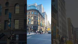 New Sleek Ste Catherine street [upl. by Benioff]