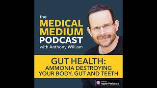 065 Gut Health Ammonia Destroying Your Body Gut And Teeth [upl. by Hoashis]