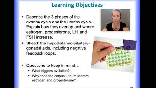 female reproductive physiology [upl. by Esnohpla]