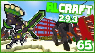 I Almost Blew Everything Up  RLCraft 293  Ep 65 [upl. by Og295]