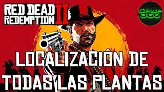 Red Dead Redemption 2  Localización las 43 plantas hierbas setas Desafío Herbolario 9 [upl. by Mather]