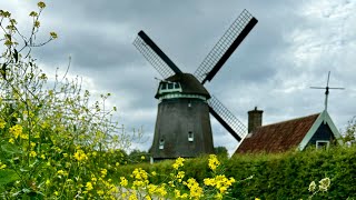 Noord Holland Bike Ride [upl. by Nodaj222]