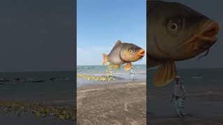 The Shocking Difference Between This Fish and Others [upl. by Nylemaj]