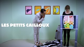 LES PETITS CAILLOUX  bande annonce [upl. by Leirda]